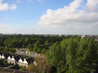 img 1254