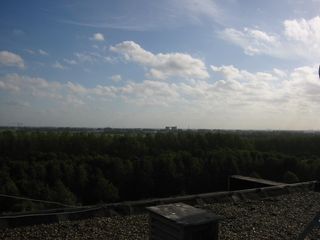 img 1257