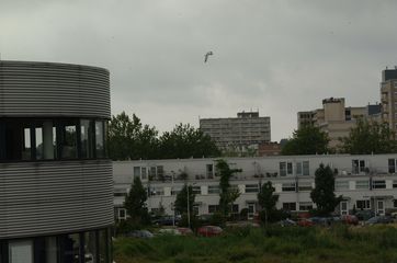 dscf2608
