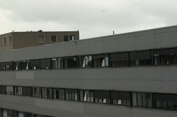 dscf2610
