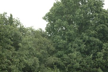 dscf2620