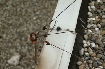 dscf2630