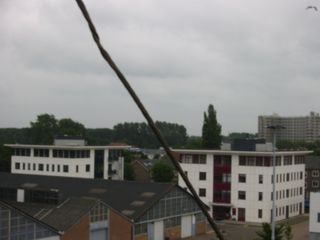 img 0931
