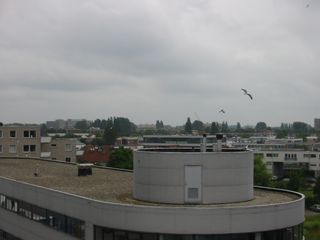 img 0932