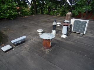SDC10084