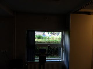 SDC10085