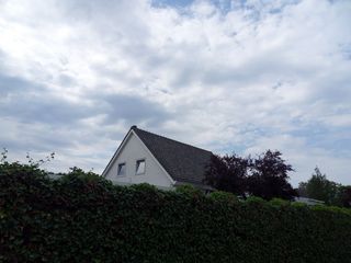 SDC10092