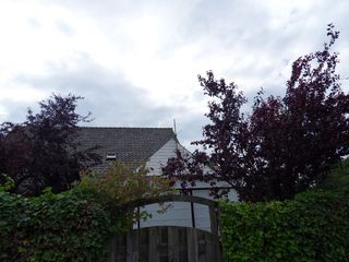 SDC10093