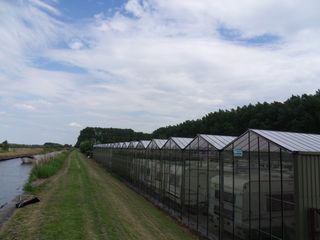 SDC10094