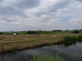 SDC10095