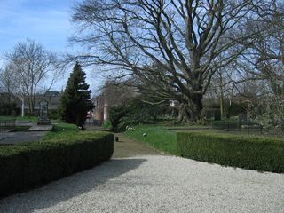 Groenesteeg03