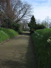 Groenesteeg07
