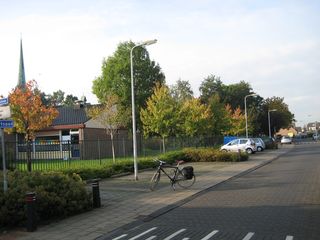 IMG 4417