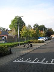 IMG 4418
