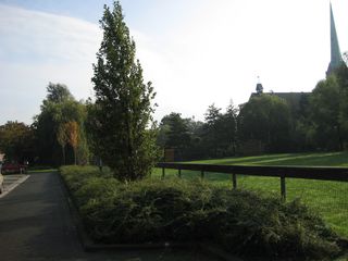 IMG 4419