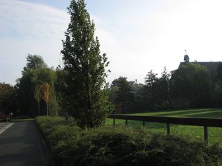 IMG 4420