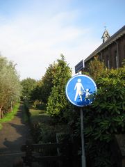 IMG 4422