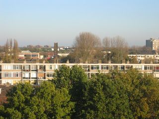 Haagwijk0020