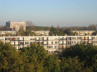 Haagwijk0021