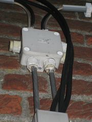 IMG 0299