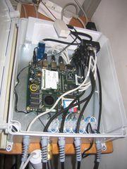img 1424