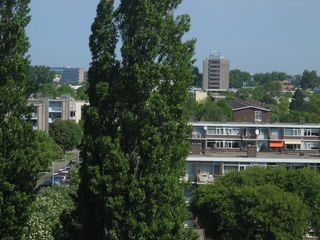 Haagwijk panorama 888