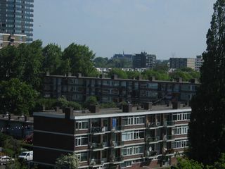 Haagwijk panorama 893