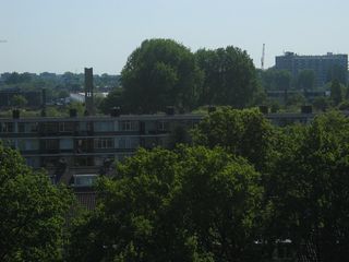 Haagwijk panorama 897