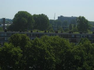 Haagwijk panorama 901