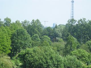 Hofwijck 77