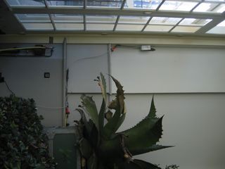 Hortus repeater2