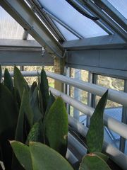Hortus repeater5