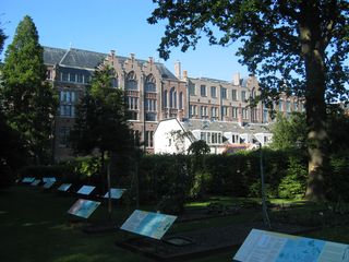 hortus 24