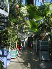 hortus 27