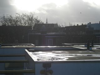 houtmarkt iris 2