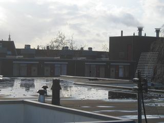 houtmarkt iris 3