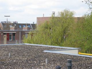 houtmarkt0009