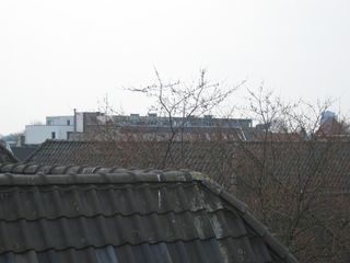 img 3812
