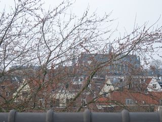 img 3815