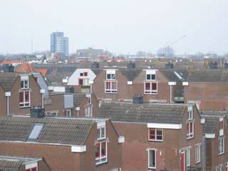 img 3818