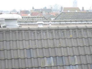 img 3827