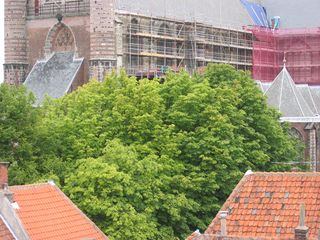 panorama huub0008