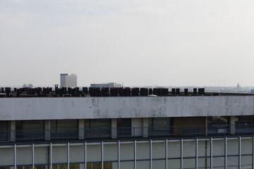 MG 7517