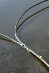 DSCF1017