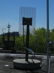 IMG 1122