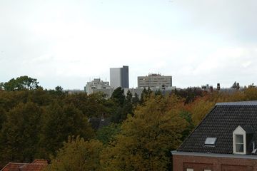 DSCF0954