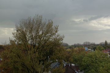 DSCF0968