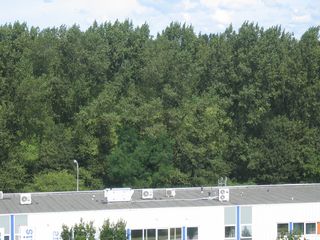 JVC 33