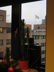 Joost 77