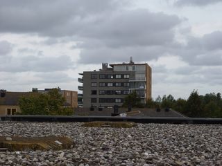 DSC07098